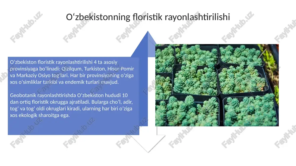 0 dan ortiq qoʻriqxonalar va milliy bogʻlar tashkil etilgan boʻlib, ularda noyob oʻsimliklar populyatsiyalari tabiiy sharoitda saqlanadi va muhofaza qilinadi. oʻsimliklarni muhofaza qilishda 2 ta asosiy yondashuv qoʻllaniladi: in situ (oʻsish joyida) va ex situ (oʻsish joyidan tashqarida), har biri oʻziga xos strategiyalarga ega. antropogen omilning oʻsimliklar qoplamiga ta’siri qishloq xo'jaligi rivoji natijasida ko'plab tabiiy o'simliklar maydonlari yo'qolib, monokulturalar (faqat 1-2 tur) ustunlik qila boshlaydi, bu esa biologik xilma-xillikni kamaytiradi. antropogen ta'sir 100 yilda o'simlik qoplamining degradatsiyasiga olib keladi, masalan, chorvachilikning haddan tashqari ko'payishi o'simliklarning tur tarkibini o'zgartiradi. bioxilma-xillikni saqlashning geobotanik asoslari geobotanik asoslar o'simliklar jamoalarini, ularning tuzilishini va 1000 dan ortiq o'simlik turini muhofaza qilishning ilmiy asosidir, bu esa samarali saqlash strategiyalarini ishlab chiqish imkonini beradi. o'zbekistonning noyob ekotizimlarini saqlash, geobotanik rayonlashtirish orqali amalga oshiriladi, bu esa 5 ta asosiy floristik mintaqani aniqlashga va har bir mintaqaga moslashgan chora-tadbirlarni ishlab chiqishga yordam beradi. oʻzbekiston oʻsimliklar tarqalishining landshaft xilma-xilligi bilan …
