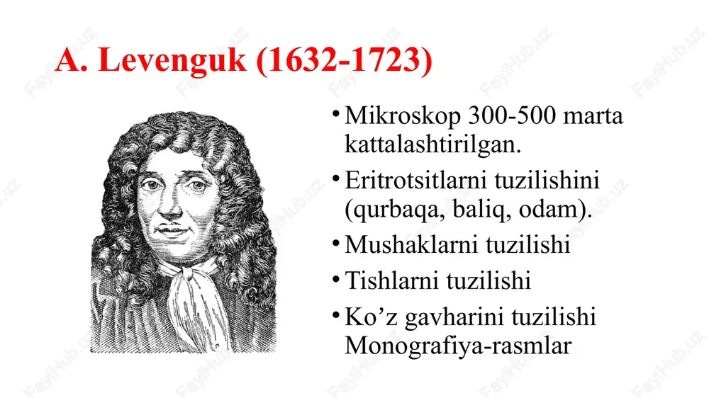 turadi; himoya vazifasi; bakteriyaning osmotik bosimni saqlash; oziq moddani oʼtkazishi va modda almashinish jarayonida qatnashadi; somatik o-ag joylashgan (maxsusligi) hujayra devorida joylashgan lps ag-lik va toksigenlik xususiyatga ega (endotoksin deb ataladi) baʼzi mikroorganizmlarda hujayra devori boʼlmaydi. masalan: - mikoplazmalarda - l - formali bakteriyalarda - sferoplastlarda - protoplastlarda sitoplazmatik membrana tarkibi: lipid oqsil uglevod oz miqdorda rnk tutadi. qalinligi 7-10 nm boʼladi sitoplazma sitoplazmaning 75% ini suv tashkil qiladi, sitoplazmada mineral birikmalar, rnk va dnk, oqsillar, fermentlar, nukleoid, ribosomalar, mezasomalar, har xil kiritmalar joylashgan bakteriyalar sitoplazmasida sporalar hosil boʼladi mezosoma vazifasi hujayra boʼlinishida ishtirok etadi; spora hosil qilishda ishtirok etadi; oksidlanish - qaytarilish jarayonlarida ishtirok etadi kiritmalar quyidagilar kiradi: kraxmal yogʼ tomchilari volyutin donachalari oltin gugurt vazifasi: zaxira oziq modda hisoblanadi baʼzi bakteriyalarda tur belgisini belgilaydi spm asosiy vazifasi oziq moddalarni bakteriya hujayrasiga tashib beradi; hujayra boʼlinishida ishtirok etadi; metabolizm regulyatsiyasida qatnashadi; baʼzi bakteriyalarda spora hosil qilishda qatnashadi; fermentlar ajratib …