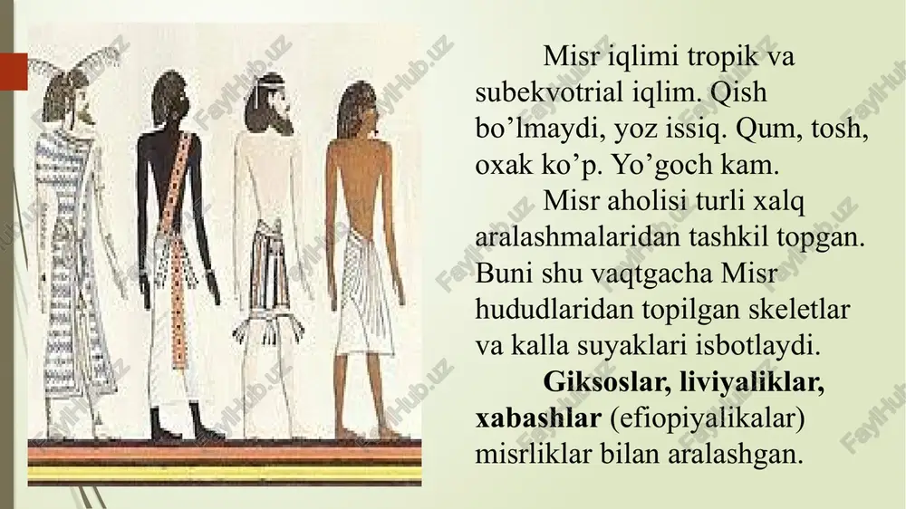 613-2589) xaykali. qohiradagi misr muzeyi. firavn xufu (tahminan er. avv. 2589-2566) ning toshga ishlangan xaykali. qohiradagi misr muzeyi. podsho xeops (xufu) (er. avv. 2589-2566) davrida mamlakat yanada kuchayadi. uning hukmronlik davrida misrdagi eng baland piramida qurilgan. gizadagi xeops piramidasi eng baland va mashhur piramidadir. geradotning yozishicha, bu piramida 30 yil davomida qurilgan. piramidaga 2 mln 300 ming atrofida tosh bloklari ishlatilgan. ularning og’irligi 2.5 tonnadan - 15 tonnagacha. xeops shu piramidaga qo’yilgan. firavn xafra (tahminan er. avv. 2547-2521) xaykali. qohiradagi misr muzeyi. firavn xafra davrida (er. avv. 2547-2521) (geradotning yozishicha xeopsning ukasi) ham taraqqiyot davom etgan. misr qudratli davlat hisoblangan. xafra davrida gizada qurilgan piramida balandligi 143,9 metr bo’lgan. shuningdek, gizadagi mashhur sfinks (boshi odam, tanasi she’r) ham aynan xafra davrida bunyod etilgan. firavn xafra (tahminan er. avv. 2514-2486) xaykali. boston muzeyi. menkaura (er. avv. 2514-2486, geradot va diodorning yozishicha xeopsning o’g’li) davrida misr o’z qudratini saqlab qolgan. menkaura davrida …