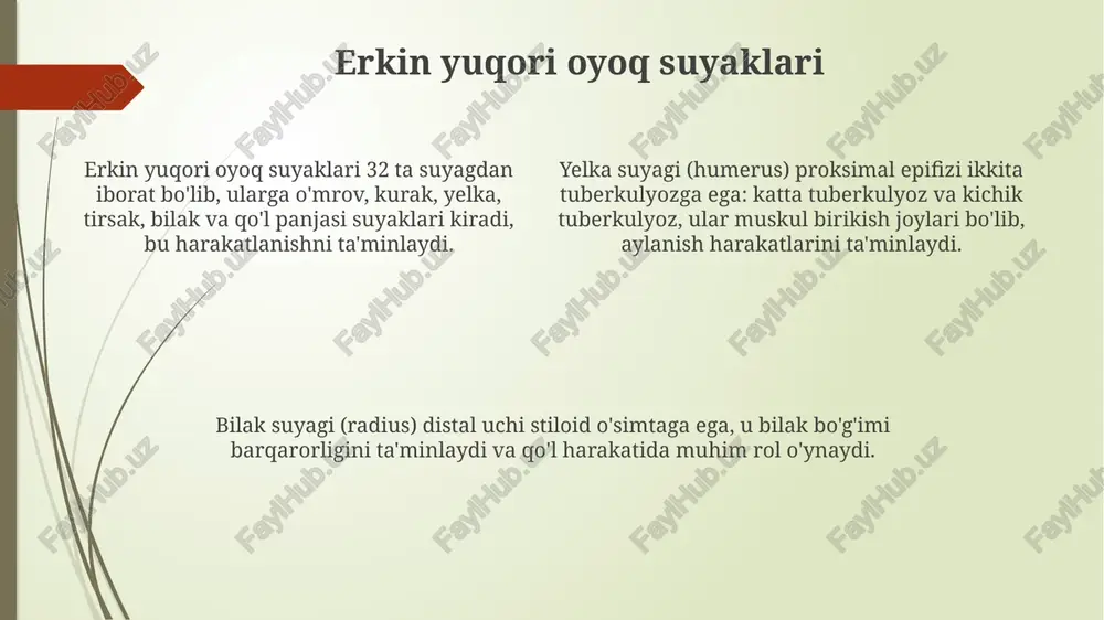 suyaklar va sirlar - Page 4