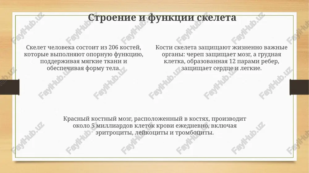 prezentatsiya "skeletnayasistema" - Page 4
