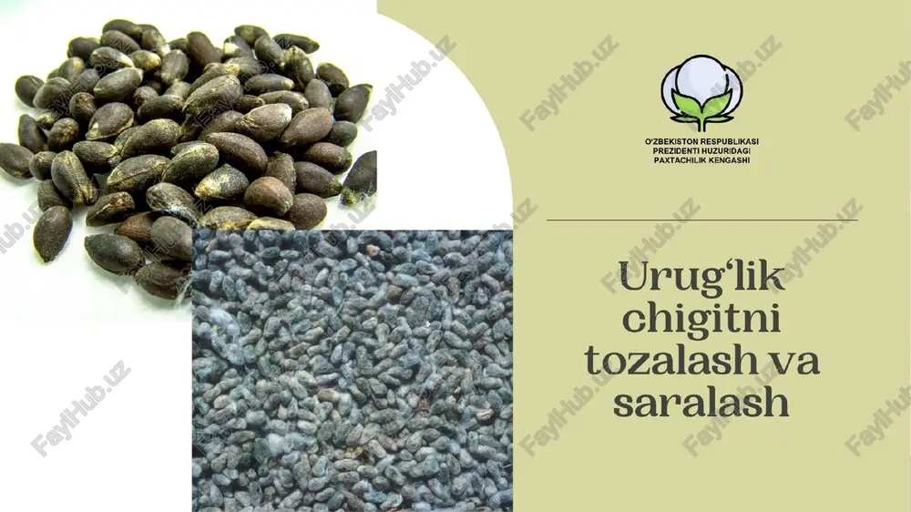 image6.jpeg image1.jpg urug‘lik chigitni tozalash va saralash - 1 dizayn bez nazvaniya - 1 /docprops/thumbnail.jpeg