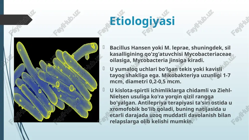 yasining topilishi ham ancha past bo‘ladi. bunda ichki a‘zolar kam zararlanadi. ba’zan poligonal papulalar yoki tuberkuloidlar bir-biriga qo‘shilib, teri damidan ko‘tarilib turadigan yallig‘langan pilakchalar (pilaksimon tu-berkuloid) hosil qiladi. buni differensiyalanmagan xilidan farqlash ancha mushkul. bemorning umumiy ahvoli deyarli o‘zgarmaydi, lekin toshma toshgan joyda sezuvchanlik va ter ajratish bir oz kamayadi. burun shillig‘ida moxov tayoqchasi kamdan-kam topiladi. toshmalar badan terisining hamma joyida uchrashi mumkin, lekin qorin, son, boldir, yuz terisida ko‘proq uchraydi. ular yo‘qola boshlaganida terida depigmentlangan yoki atrofiyalangan joylar qoladi. d i f f e r e n ts i ya l a n m a g a n d i f f e r e n ts i ya l a n m a g a n, ya’ni moxovning noaniq xilida asosan bemorning terisi va nerv tizimi zararlanadi. moxovning bu xili aksariyat bolalarda uchraydi. ularning umumiy ahvoli deyarli o‘zgarmaydi. kasallik asosan nevrologik simptomlar, eritematoz giperpigmentlangan yoki depigmentlangan har xil …