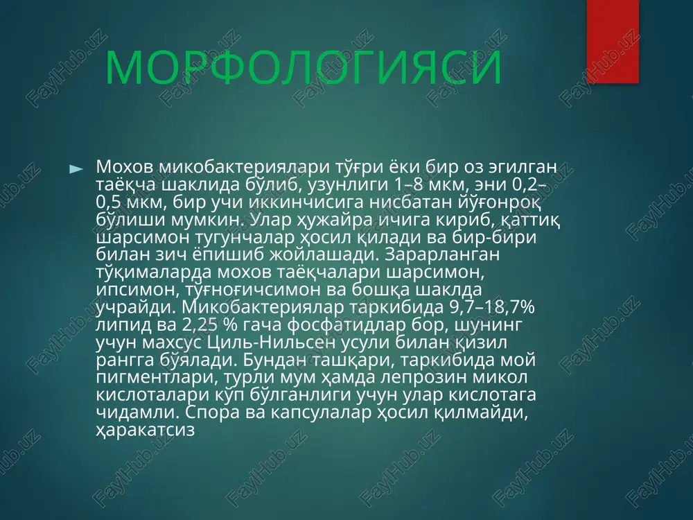moxov (lepra) - Page 4