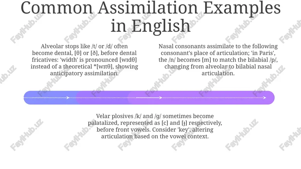 understanding assimilation: definition and types - Page 4