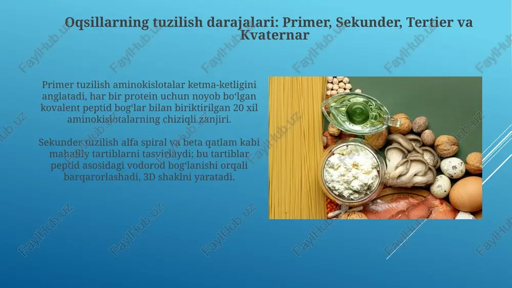 oqsillar tuzilishi - Page 4