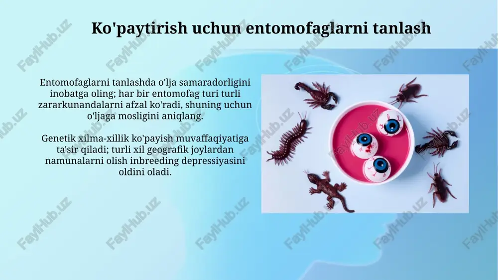 yoki oziqlanishni yaxshilash kabi choralarni ko'rish kerak. tegishli qonunchilik va standartlar entomofaglarni ko'paytirish biologik xavfsizlikning 2000/54/ec direktivasiga mos kelishi kerak, bu esa genetik o'zgartirilgan organizmlarning tarqalishini nazorat qilishni ta'minlaydi. o'simliklar karantini bo'yicha xalqaro konventsiya (ippc) kabi fitosanitariya qoidalari entomofaglarning xavfsiz importi va eksportiga tegishli bo'lib, 1951-yildan beri qo'llaniladi. kelajakdagi yo'nalishlar kelajakda genomikaga asoslangan seleksiya usullari, xususan, crispr texnologiyasi yordamida entomofaglarning 15% gacha bo'lgan issiqlikka chidamlilik va ko'payish qobiliyati oshirilishi mumkin. kelajakda sun'iy intellekt (si) va mashinali o'rganish texnologiyalari entomofaglarni yetishtirish sharoitlarini optimallashtirish, kasalliklarni 25% gacha aniqlash va ma'lumotlarni tahlil qilish uchun qo'llaniladi. xulosa entomofaglarni biologik laboratoriyalarda ko'paytirish zararkunandalarga qarshi kurashda 70-80% samaradorlikka erishish imkonini beradi va kimyoviy vositalar ishlatishni kamaytiradi. sifat nazorati bo'yicha 95% maqsadga erishish uchun, har bir partiyaning genetik tozaligi va faolligini baholash muhim, chunki bu biologik nazoratning muvaffaqiyatini belgilaydi. e'tiboringiz uchun rahmat image2.jpg image3.jpg image4.jpg image5.jpg image6.jpg image7.jpg image8.jpg image9.jpg image10.jpg image11.jpg image12.jpg image13.jpg image14.jpg image15.jpg image16.jpg …