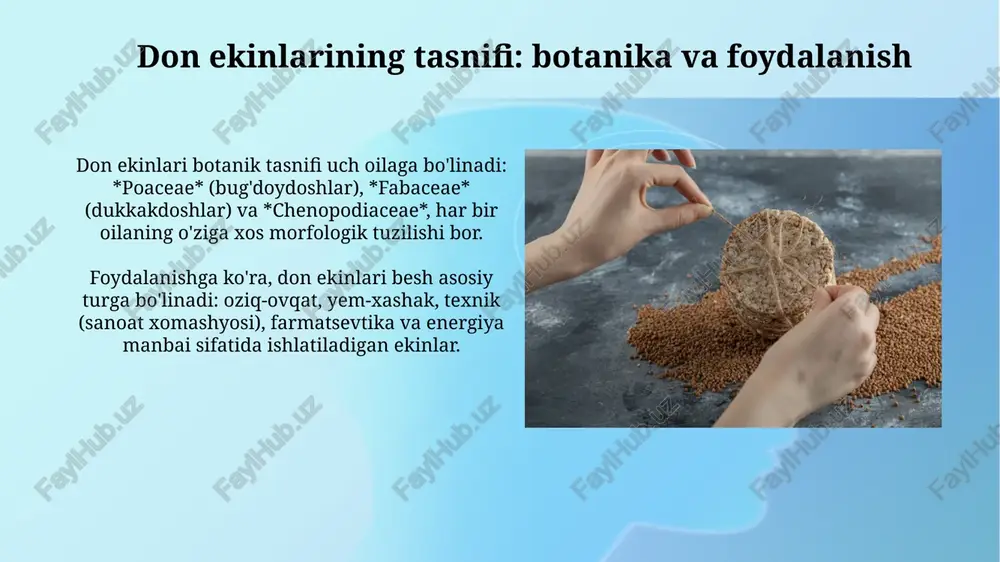 em-xashak bozorida talab yuqori. arpa doni nafaqat oziq-ovqat sanoatida (20% gacha foydalaniladi), balki pivo ishlab chiqarishda ham asosiy xomashyo bo'lib, uning bozori barqaror o'sishga ega. arpa genetikasi va selektsiyasi arpa genetikasi 2n=14 xromosom to‘plamiga ega bo‘lib, bu arpaning genetik xilma-xilligini tahlil qilish va seleksiya ishlarini olib borishda muhim ahamiyatga ega. arpa seleksiyasida duragaylash, mutagenez va biotexnologik usullar qo‘llaniladi, bunda yuqori hosildor, kasalliklarga chidamli va sifatli navlar yaratish maqsad qilinadi. xulosa: arpa yetishtirishning istiqbollari arpani o'rganish kelajakda chorvachilik uchun arzon va sifatli ozuqa bazasini yaratishda muhim rol o'ynaydi, ayniqsa, uning tarkibidagi 11-14% protein miqdori muhim ahamiyatga ega. arpa hosildorligini oshirish uchun yangi, tezpishar va kasalliklarga chidamli navlarni yaratish istiqbolli. bu esa, 2.5-3 tonna/ga hosil olish imkoniyatini yaratadi. e'tiboringiz uchun rahmat image2.jpg image3.jpg image4.jpg image5.jpg image6.jpg image7.jpg image8.jpg image9.jpg image10.jpg image11.jpg image12.jpg image13.jpg image14.jpg image15.jpg image16.jpg image17.jpg image18.jpg image1.png
