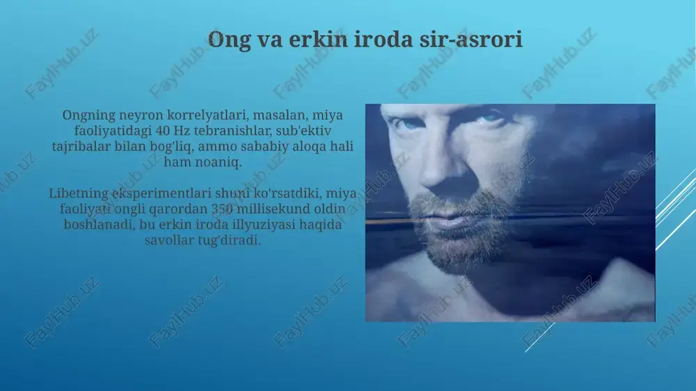 insonfalsafasi - Page 4