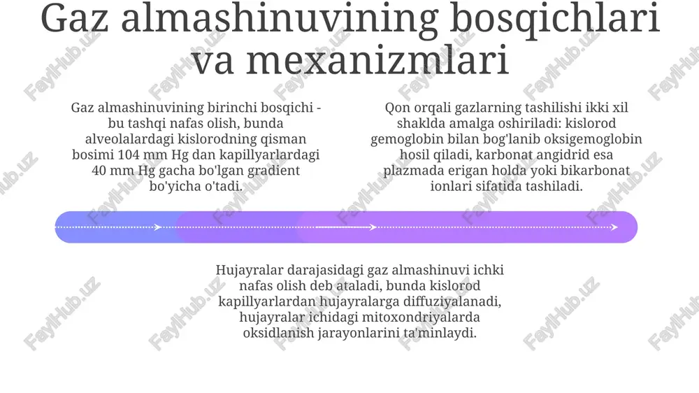 organizmdagi gazlar almashinuvi - Page 4