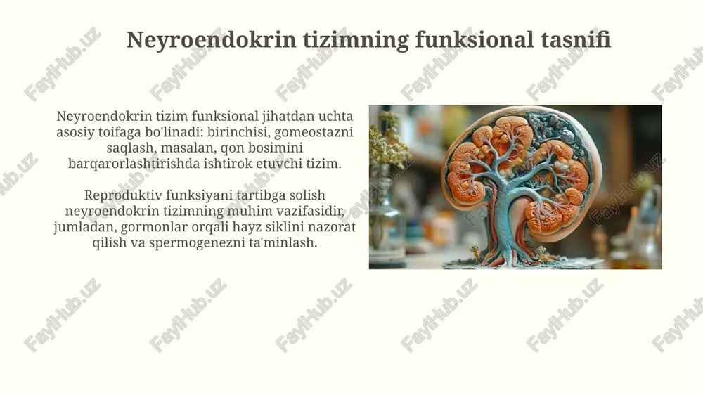 neyroendokrin tizimning struktur funksional tasnifi - Page 4