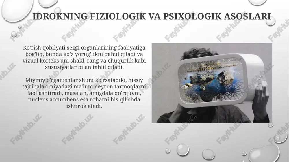 olamni virtual va vizual estetik idroketishning farqlari - Page 4