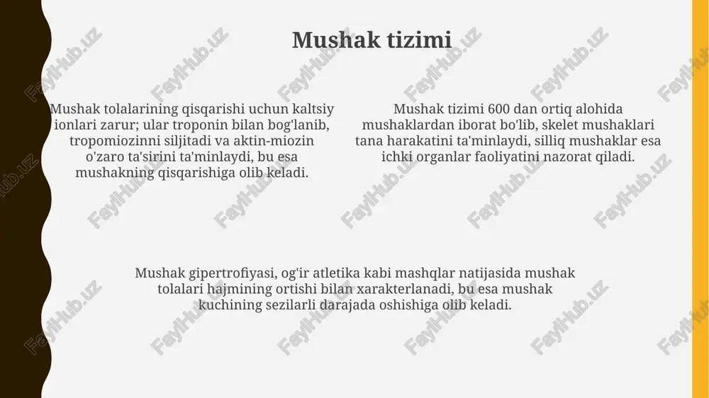 suyak tizimi - Page 4