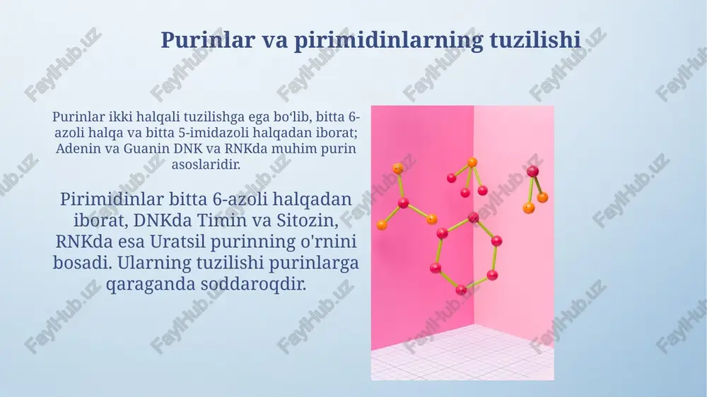 slotasining sintezini kamaytiradi va kristallanishini oldini oladi. lesx-nixan sindromi lesx-nixan sindromi x xromosomasi bilan bogʻliq boʻlib, gipoksantin-guanin fosforiboziltransferaza (hgfrt) fermentining deyarli toʻliq yetishmovchiligi sababli purin almashinuvining buzilishiga olib keladi. ushbu sindromda siydik kislotasining haddan tashqari ishlab chiqarilishi natijasida giperurikemiya kuzatiladi, bu esa buyrakda toshlar hosil boʻlishi va podagra artritining erta boshlanishiga sabab boʻlishi mumkin. farmakologik aralashuvlar allopurinol ferment ksantin oksidazani inhibe qiladi, bu siydik kislotasi hosil bo'lishini kamaytiradi, 100-300 mg dozalarda podagra va giperurikemiyani davolash uchun ishlatiladi. myelosupressiya va makrositozni kamaytirish uchun merkaptopurin (6-mp) bilan bir vaqtda allopurinol dozasini 75% ga kamaytiring, bu og'ir toksiklikning oldini olishga yordam beradi. xulosa xulosa shuni ko'rsatadiki, purin va pirimidin metabolizmi nuklein kislotalar sintezi va energiyasi uchun muhimdir, shuningdek, adenin trifosfat (atf) va guanin trifosfat (gtf) kabi muhim molekulalar hosil bo'ladi. purin va pirimidin metabolizmining yakuniy bosqichi, siydik kislotasining hosil bo'lishi, 3,6 mg/dl dan yuqori darajada yallig'lanishga olib kelishi mumkin, shuning uchun uni boshqarish …