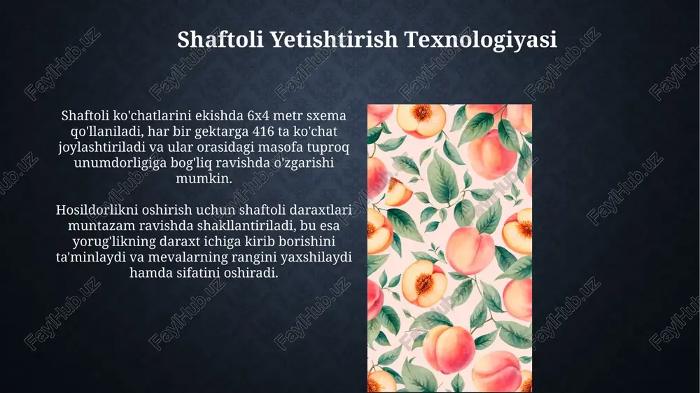 shaftoli - Page 4