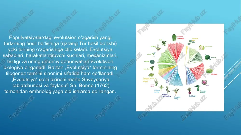 evolyutsiyaning genetik asoslari - Page 4
