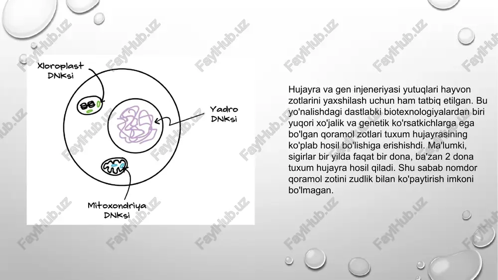 o’simliklar irsiyatini gen injeneriyasi usuli bilan o’zgartirish - Page 4