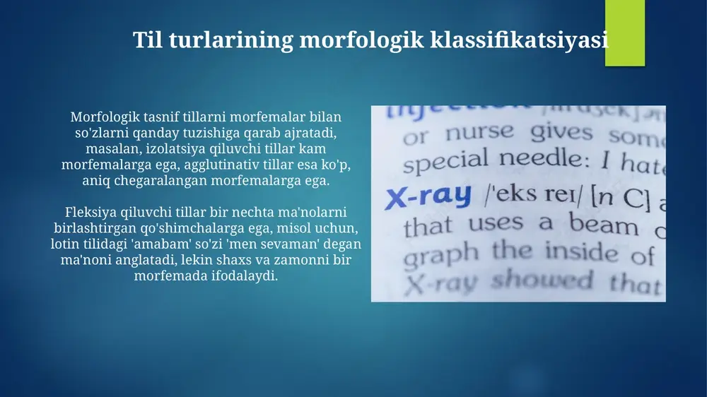 tillarning morfologik tasnifi - Page 4