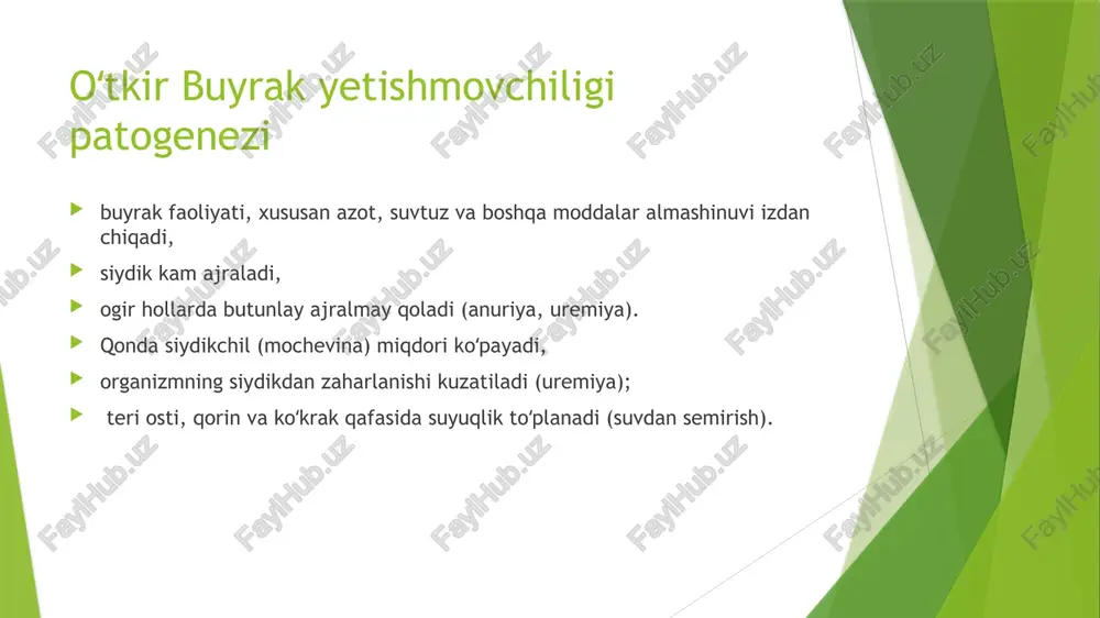 buyrak yetishmovchiligi - Page 4