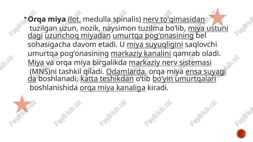 iyelinlanmagan aksonlardan iborat. oldingi va orqa kulrang ustun kulrang modda proyeksiyalari hisoblanadi va orqa miya shoxlari sifatida ma’shhur. kulrang ustunlar va kulrang kommissura birgalikda "kulrang h"ni hosil qiladi. oq modda kulrang moddadan tashqari tomonda joylashgan va deyarli toʻliq harakatlantiruvchi va sezuvchi miyelinlangan aksonlardan iborat. oq modda "ustunlari" orqa miya boʻylab pastga yoki yuqoriga informatsiya tashiydi. orqa miya aslida conus medullaris deb ataluvchi sohada tugaydi, lekin yumshoq parda filum terminale deb ataluvchi kengayma sifatida davom etadi, natijada orqa miya dum (lot. coccyx)gacha boradi. cauda equina ("ot dumi") conus medullarisdan pastga, umurtqa pogʻonasi boʻylab dumgacha tushuvchi nervlar toʻplami. cauda equina hosil boʻlishiga sabab orqa miya tahminan toʻrt yoshda oʻsishdan toʻxtaydi, umurtqa pogʻonasi boʻlsa voyaga yetgungacha uzayishda davom etadi. bu dumgʻaza spinal nervlarini yuqorigi bel sohasida paydo boʻlishiga sabab boʻladi. xulosa;. odam orqa miyasida 31 ta segment mavjud: 8 boʻyin segmentlari 8 juft boʻyin nervlarini hosil qiladi (c1 spinal nervlar katta teshik va …