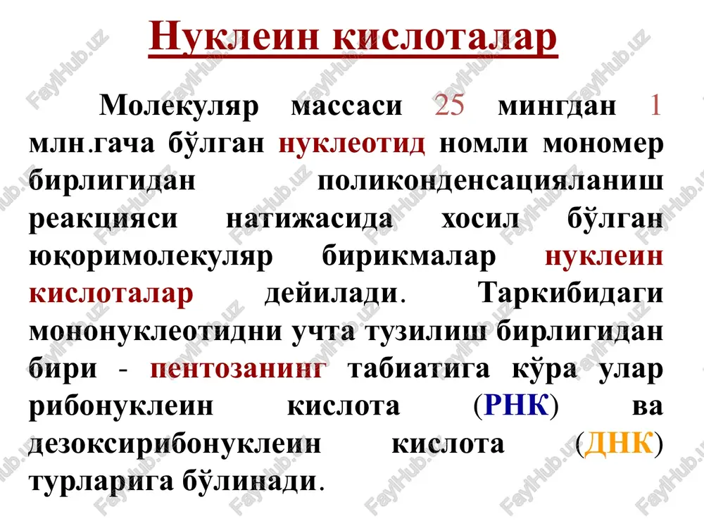 nukleozidlar va nukleotidlar - Page 4