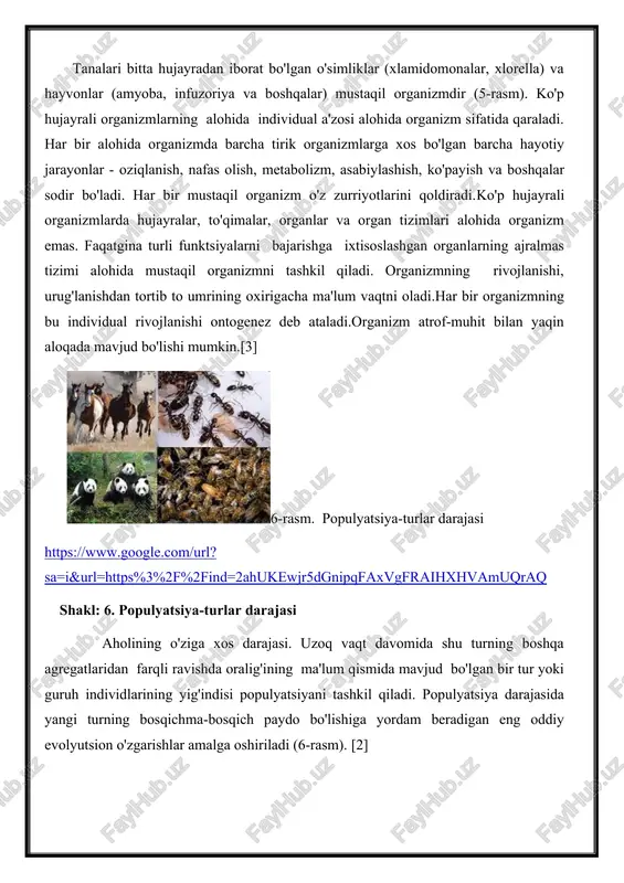 asalan, yerning vegetatsiya qoplami bilan erkin kislorod hosil bo'lish intensivligini aniqlash yoki inson faoliyati bilan bog'liq atmosferadagi karbonat angidrid konsentratsiyasining o'zgarishi. biosfera darajasida asosiy rolni "tirik moddalar", ya'ni yerda yashaydigan tirik organizmlar jami egallaydi. shuningdek, biosfera darajasida tirik organizmlar va "inert" moddalarning hayotiy faoliyati (ya'ni, atrof-muhit sharoiti) natijasida hosil bo'lgan "bioinert moddalar" muhim ahamiyatga ega. biosfera darajasida yerda biosferaning barcha tirik organizmlari ishtirokida moddalar va energiya aylanishi mavjud.[3] hayotni tashkil qilish darajalari. aholisi. biogeotsenoz. biosfera. 1.hozirgi vaqtda tirik organizmlarni tashkil etishning bir necha darajalari ajratilgan: molekulyar, hujayra, to'qima, organ, organizm, populyatsiyaga xos, biogeotsenotik va biosferik. 2.populyatsiya-tur darajasida elementar evolyutsion transformatsiyalar amalga oshiriladi. 3.hujayra barcha tirik organizmlarning eng elementar strukturaviy va funktsional birligidir. 4.kelib chiqishi, tuzilishi va funktsiyalari bo'yicha o'xshash hujayralar va hujayralararo moddalarning umumiy miqdori to'qimalarni hosil qiladi. 5.sayyoradagi barcha tirik organizmlarning jami va ularning yashash muhitining umumiy tabiiy muhiti biosfera darajasini tashkil etadi.[1] hayotning molekulyar genetik darajasi bu organizmlarning …