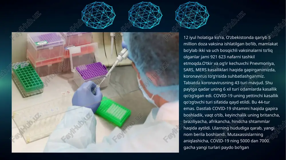 da bu kasallikka qarshi vaksina ishlab chiqilgandan so'ng nazoratga olishga muvaffaq boʻlindi. oiv asrlar davomida paydo boʻlgan eng patogen yangi viruslardan biri bo'lgan. odatda, viruslar tufayli koʻplab kasalliklarning yuzaga kelishi olimlar tomonidan oʻrganilsa-da, koʻpchilik viruslar foydalidir. ular turlararo genlarni tashish orqali evolyutsiyani boshqaradi, ekotizimlarda muhim rol oʻynaydi va hayot uchun zarurdir. xulosa viruslar insonlar va tirik organizmlar uchun birmuncha xavf tugʻdiradi tabiatda keng tarqalgan vakillari turli xildagi shtamlarda uchraydi.asosam odam va sut emizuvchi hayvonlarda tarqalgan viruslar umumiy kasallik yaʼni har ikkalasini ham zararlaydi.oʻsimlik viruslari esa odamlarga taʼsir oʻtkazmaydi.odam va hayvon viruslari oʻsimliklarda hayot kechirmaydi.hozirgi kunda koʻolab viruslarga qarshi vaksinalar mavjud ammo hali davosiz boʻlgan virusli kassaliklar ham kam emas .bizlar bu yoʻnalishlar ustida tajribalar oʻtkazib kelajak avlodlarimizni himoya qila olamiz. image1.jpeg image2.jpeg image3.jpeg image4.jpeg image5.jpeg image6.jpeg