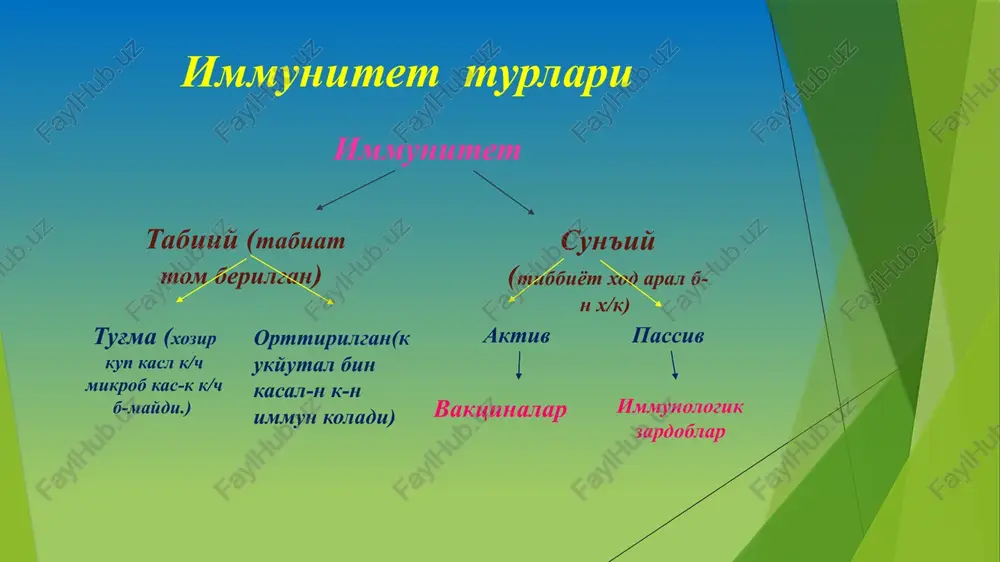 in yo'li bo'yicha faollashtirish xususiyatiga ega. 6. o'tkir fazo oqsillari – organizmda yo'q.agar organizmda yallig'lanish jarayoni bo'lsa o'tkir fazo oqsillari paydo bo'ladi. o'tkir fazo oqsillariga kiradi: s-reaktiv oqsil. fibrinogen. plazma amiloidi. o'tkir fazo oqsillari sintezlanadi: 1. makrofaglarda 2.shilliq qavat kriptalari epitelial xujayralarida yoki (pa net xujayralarida). o'tkir fazo oqsillari- «xabarchi» yani immun tizim faoliyatini kuchaytirishda katnashadi. lizotsim lizotsim – bu termostabil ferment bo'lib, 1922 yil flemming tomonidan ochilgan. lizotsimning vazifalari –mikroblar xujayra devoridagi peptidoglikan kavatini emirib, a) gr+ va gr- m/oni lizis qilish (bakteriotsid) xususiyatiga ega. b)fagotsitoz jarayonini faollashtiradi. lizotsimning organizmda uchrashi: 1.bosh miya va orqa miyada 2.leykotsitlarda 3.ko'z yoshida 4.xomila oldi suyuqligida 5.so'lakda 6.shilliqda 7.skelet mushaklarida va 8. ko'krak sutida. tsitokinlar maxsus bo'lmagan rezistentlik omillariga gumoral immunitetni ta'minlovchi tsitokinlar ham kiritiladi. ular immun tizim hujayralari tomonidan ishlab chiqariladigan gumoral oqsil mahsulotlari, organizm himoya vazifasining immunoregulyatsiyasini ta'minlaydi. immun javob va yallig'lanish jarayonlarining davomiyligi va amplitudasini boshqarib turadi. tsitokinlar quyidagilarga bo'linadi: …