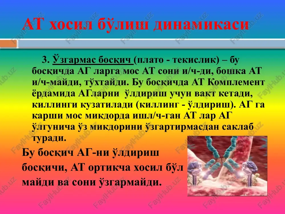 ni – monokinlar deyiladi (interleykin1); t-xelperlar xam o'zidan – limfokinlarni ajratib (interleykin2) v-limfotsitlarni «chaqirishadi»; at soni kerakli songa etganda ularning sintezi to'xtaydi. kiz plazmatik xuj-plazmatik xuj-at x/b sharnir qism – ushbu qismda at o'ziga komplementning s3 komponentini biriktiradi, undan keyin komplement komponentlari birin ketin birikib kaskad mexanizm bo'yicha fagotsitoz boshlanadi. komplementning s9 komponenti mahsus fermentlar yordamida ag kobig'ini teshadi. s2 komplementni faollashtirish mexanizmi i. 1) klassik yo'l (maxsus yo'l, kaskad mexanizmi yoki domino printsipi bo'yicha); 2) alternativ yo'l (properdinga bog'liq yo'l); 3) leyktinga bog'liq yo'l; ii. 1) nospetsifiq yo'l leyktin properin ag+at s1 s4 s9 s2 s3 s5 s6 s4 s8 qanday qilib at sintezi to'xtaydi? misol uchun, 100 ag bor edi, 110 at xosil bo'ldi; 100agx100at va 10 at qoldiq. qolgan 10 at-lar t-xelperlar yuzasidagi retseptorlar bilan birikadi; t-xelperlar bundan keyin v-limfotsitlarga axborotni etkazishan to'xtashadi va v-limfotsitlar boshka at-larga differentatsiyalanishmaydi. serologik reaktsiyalarni qo'yish texnikasi va natijasiga baho berish 1. …