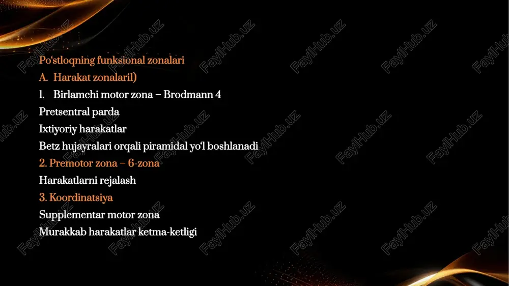 bosh miya yarim sharlar po'stlog'ining fiziologiyasi. bazal yadrolar - Page 4