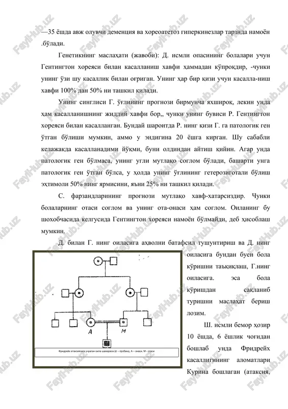 o'tgan bo'lishi mumkin, ammo u endigina 20 yoshga kirgan. shu sababli kelajakda kasallanadimi yo'qmi, buni oldindan aytish qiyin. agar unda patologik gen bo'lmasa, uning ugli mutlaqo soglom bo'ladi, basharti unga patologik gen o'tgan bo'lsa, u holda uning o'g'lining geterozigotali bo'lish ehtimoli 50% ning yarmisini, ya'ni 25% ni tashkil qiladi. s. farzandlarining prognozi mutlaqo xavf-xatarsizdir. chunki bolalarning otasi soglom va uning ota-onasi ham soglom. oilaning bu shoxobchasida kelgusida gentington xoreyasi namoyon bo'lmaydi, deb hisoblash mumkin. d. bilan g. ning oilasiga ahvolni batafsil tushuntirish va d. ning oilasiga bundan buen bola ko'rishni ta'qiqlash, g.ning oilasiga. esa bola ko'rishdan saqlanib turishni maslahat berish lozim. ( fridreyx ataksiyasiga uchragan oila shajarasi .sh – proband, a – onasi , m - otasi )sh. ismli bemor hozir 10 yoshda, 6 yoshlik chog'idan boshlab unda fridreyx kasalligining alomatlari kurina boshlagan (ataksiya, tovonlar deformatsiyasi, kifoskolioz va boshkalar) va bu alomat-lar asta-sekin avj olmoqda. probandning ota-onasi yosh bz sog'lom …