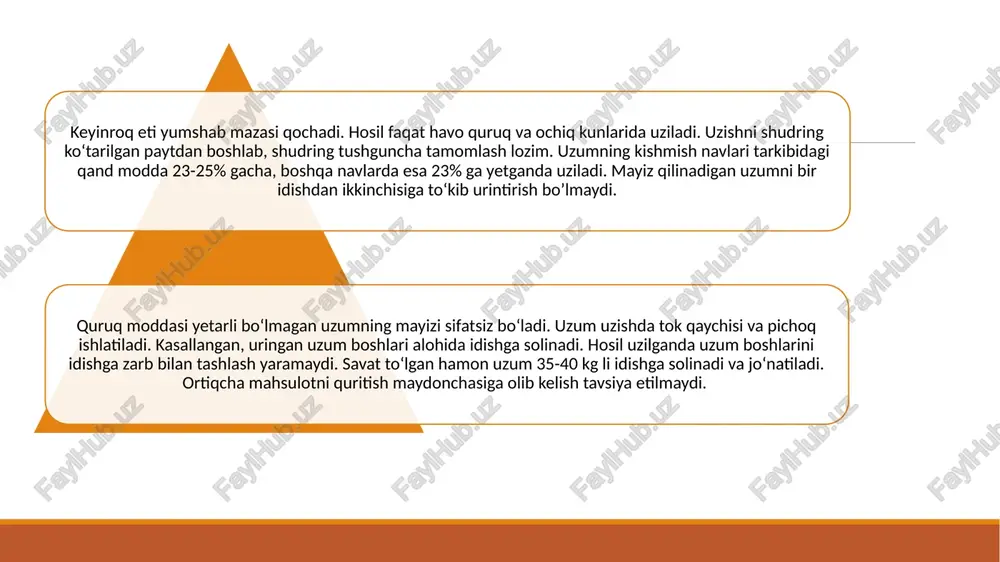 gan mahsulot shig‘oni, oq kishmish navidan olingan esa - bedona deb ataladi. quritish 28-30 kun davom etadi. bunda 22-25% quritilgan mahsulot olinadi va uning namligi esa 18% ni tashkil etadi. oftobi usuli: mayizni kaftda g‘ijimlaganda bir oz ezilsa-yu, ammo bir-biriga yopishib qolmasa u tayyor hisoblanadi. quritilgan mayiz xas-cho‘pdan tozalanadi, shamolda shopiriladi va nami bir meyorda bo‘lishi uchun uyum qilib qo‘yiladi. quritilgan mayiz 5-6 kundan so‘ng yana qo‘shimcha ravishda ko‘zdan kechirib tozalanadi. undagi har xil mexanik aralashmalar, tosh, mayda kesaklar, uzum boshlarining qurigan bandlari terib tashlanadi. shundan so‘ng tayyor mahsulotni quti va qoplarga joylanadi. bu usulni kamchiligi, mayiz juda uzoq quritilsada kam mahsulot olinadi. uzumni quritishning «soyaki» usuli qashqadaryo viloyatining tog‘oldi va tog‘li kitob-shahrisabz xududida qadimdan keng tarqalgan. uning mohiyati shundaki, uzum soyada ya’ni shamol esadigan yerlarga qurilgan maxsus soyagi xonalarda quritiladi. odatda bunday xonalarni qurishdan oldin doimiy harakatdagi havo oqimini umumiy yo‘nalishi aniqlanadi va soyagi xonalarining uzunasiga joylashadigan xonalarda yoriqsimon …