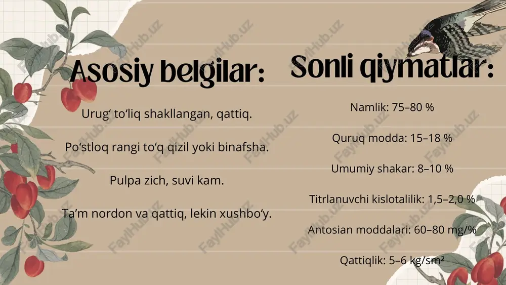 olcha - Page 4