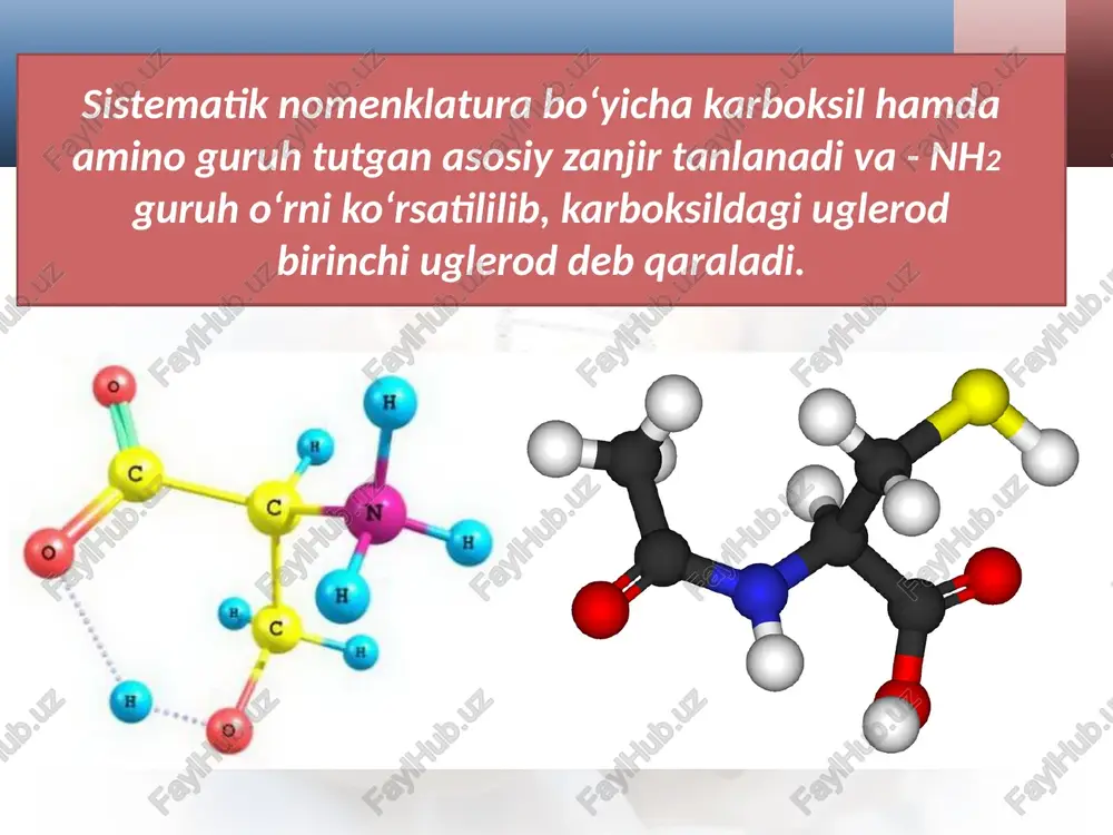 proteinogenliaminokislotalar - Page 4