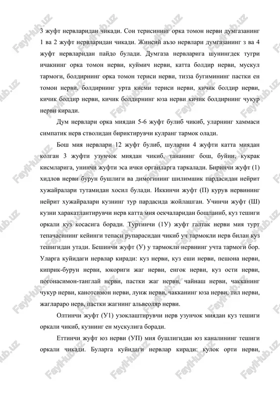 hok miyadan kuz teshigi orkali chikib, kuzning en muskuliga boradi. ettinchi juft yuz nervi (up) miya bushligidan yuz kanalining teshigi orkali chikadi. bularga kuyidagi nervlar kiradi: kulok orti nervi, kulokning ichki nervi, kush korinli muskul nervi, kovok-kulok nervi, buyin nervi, lunjning yukorigi nervi, lunjning pastki nervi. sakkizinchi juft (ush) eshituv va muvozanat nervi sezuvchi nerv bulib, ichki kulokning chiganok va daxliz neyritlaridan xosil buladi. 3. vegetativ nervlar umurtkasiz tuban xayvonlarda bulmaydi. suyakli baliklardan boshlab, tugunlararo biriktiruvchi nerv tolalari ulardan chegaralovchi juft simpatik nerv stvoli paydo bulib, yukorigitomoni balikning boshigacha, pastki tomoni dumigacha etib boradi. vegetativ nerv sistemasi markaziy nerv sitsemasi nazorati ostida organlarni xarakatlantiradi. u ichki organlarning sillik muskullariga, kon tomirlariga, teri xamda muskullarga tashki va ichki sekretsiya bezlariga tarkaladi. vegetativ nerv sistemasi morfologik va fiziologik jixatdan somatik nerv sitsemasidan fark kiladi. bosh miya xamda funktsiya bajaruvchi organlarning effektor alokasi somatik nerv sistemasiga bitta, vegetativ nerv sistemasiga esa ikkita neyron …