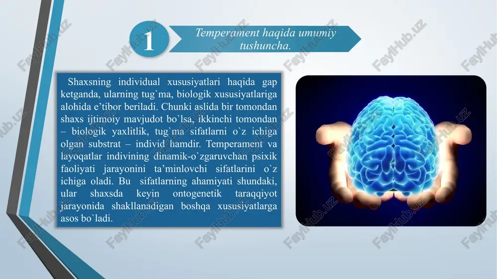 umumiy psixologiya fanidagi taqdimot - Page 4