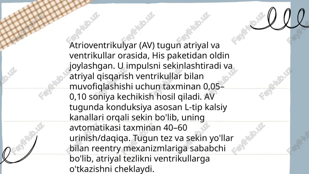 otrop), av o‘tkazuvchanligi kamayadi (negativ dromotrop), atrial kontraktsiya kamayadi. baroreseptor refleksi va vagal maniuralar yurak tezligini boshqaradi; ortiqcha vagal tonus bradikardiya va av blokka olib kelishi mumkin. ... t.me/slaydai_bot baroreseptorlar arteriyal bosimga sezgir bo‘lib asosiy joylashuvi karotid sinusi va aorta bo‘lib, afferent tolalari ix va x nerv orqali ntsga yetadi. ular bosim oshganda parasimpatikni rag‘batlantirib yurak tezligini pasaytiradi va simpatikni bostiradi. kemoreseptorlar periferik (karotid, aorta) va markaziy bo‘lib pao2, paco2 va phga sezgir; hipoksiya yoki hiperkapniya bo‘lganda simpatik faollik oshadi, nafas olishni va yurak tezligini oshiradi. ... t.me/slaydai_bot adrenalin β1-adrenergik retseptorlarga ta'sir qilib yurak tezligini, kontraktililik va o‘tkazuvchanlikni oshiradi hamda pacemaker avtomatikligini kuchaytiradi. noradrenalin o‘xshash ta'sir ko‘rsatadi. tiroksin yurakda β-reseptorlar ekspressiyasini oshirib, i_f komponentini va kaltsiy transportini kuchaytirib yurak tezligini va kardiyak chiqishni ko‘taradi. insulin va glukagon kontraktililikni oshiradi. kortizol katexolaminlarga sezuvchanlikni oshiradi. o'zgarishlar ion kanallar ifodasi va ichki ca2+ boshqaruvini uzoq muddatli o'zgartiradi. ... t.me/ziyokortalababot 13. dori-darmonlar ta'siri: beta-blokatorlar, …