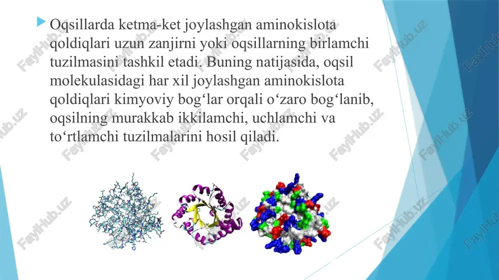 n ribosomaga keladi. 2. elongatsiya (uzayish): irnkdagi har bir kodon trnk orqali mos aminokislota bilan tarjima qilinadi. aminokislotalar peptid bog‘i orqali bir-biriga ulanadi va oqsil zanjiri hosil bo‘ladi. ribosoma irnk bo‘ylab harakat qiladi va yangi kodonlarni o‘qiydi. 3. terminatsiya (yakunlanish): irnkdagi stop-kodon (uaa, uag yoki uga) ga kelganda translyatsiya to‘xtaydi. oqsil zanjiri ajraladi, ribosoma va trnk esa ajralib chiqadi. transkripsiya - tirik hujayralarda irsiy axborot amalga oshirilishining birinchi bosqichi; dnk matritsasi asosida irnk molekulasi sintezlanishi. dnk ga tobe rnkpolimeraza fermenti vositasida amalga oshadi. ferment transkripsiyaning boshlanish joyi — promotorni tanib, unga birikadi; dnk qoʻsh zanjirini bir-biridan ajratadi va bu joydan boshlab, dnk zanjirlarining biridan nusxa oladi. buning uchun ferment dnk zanjirlaridan biri boʻylab siljib boradi va komplementarlik prinsipi asosida sitoplazmadagi erkin nukleotidlarni oʻzaro tutashtirib i rnk zanjirini hosil qiladi. prokariotlarda iniatsiya bosqichidagi boshqarilishda oqsil repressorlar qatnashishi mumkin. transkripsiyaning oxirini rnkpolimeraza, boshqa qismini maxsus oqsil tanib oladi. transkripsiyaning terminatsiya bosqichqdagi boshqarilishda …