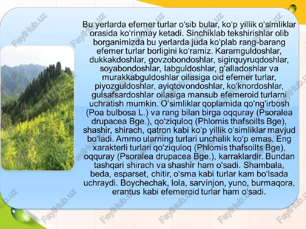 adir o’simliklari - Page 4