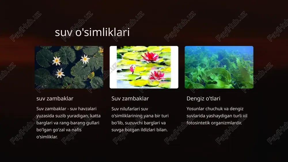 o'simliklartoifalari bilan tanishish - Page 4
