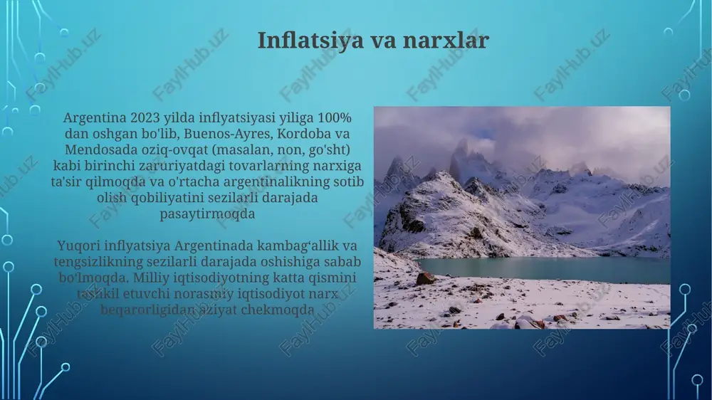 argentina iqtisodiyoti - Page 4
