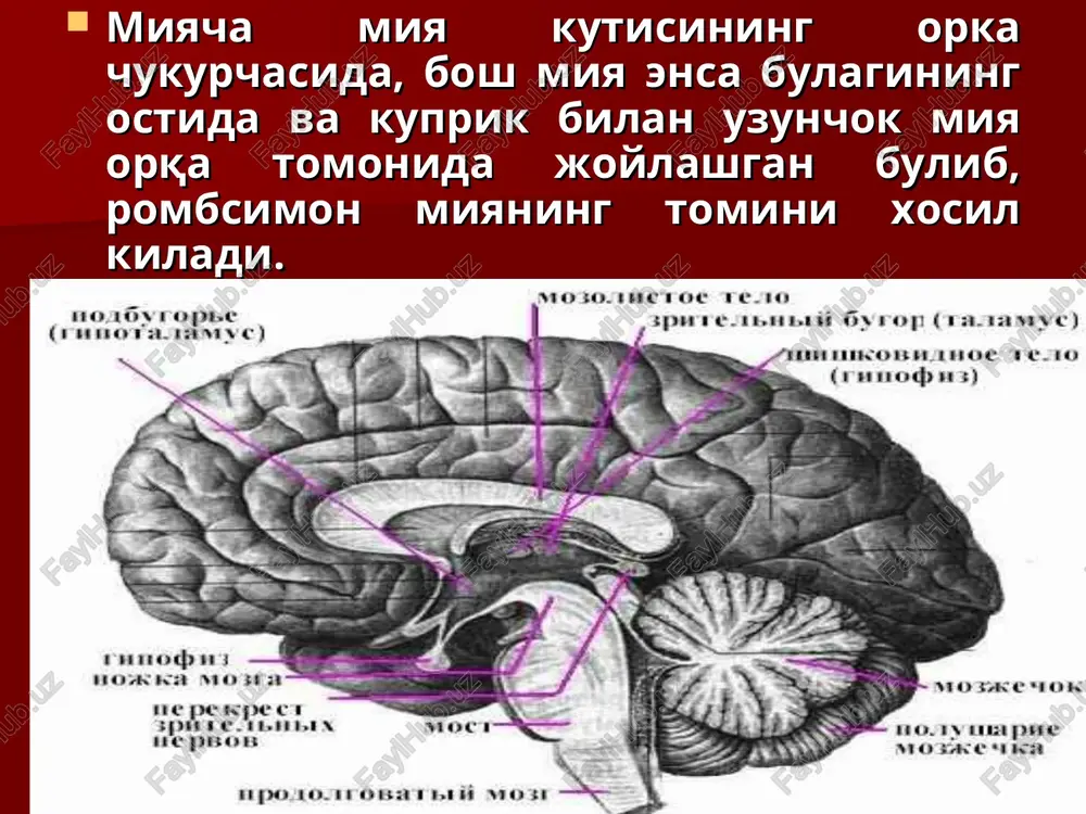 'zida impulslar efferent yo'llar orqali strio-pallidar sistemadan miyaning shu strukturalariga tarqaladi. impulslar uzunchoq miyaning vestibulyar yadrolariga va pastki olivasiga etgach, orqa miyaning oldingi shoxlarida tugaydi. pallidar sistema zararlanganda gipertonik-gipokinetik sindrom, striar sistema zararlanganda esa –gipotonik-giperkinetik sindrom kelib chiqadi. pallidar sistema zararlanganda akinetik-rigidli sindrom yoki parkinsonizm sindromi vujudga keladi. 1. mushak tonusining plastik tipda «tishli g'ildirak» ko'rinishida oshishi. 2. nutqi monoton, past ovozda bo'lib , borgan sari pasayadi. 3. titrash – «tanga sanash» ko'rinishida 4. mikrografiya- xusnixat mayda-lashib ketadi. 5. harakatning boshlanishi va to'xtashi qiyin bo'ladi. buning oqibatida propul-siya, retropulsiya va lateropulsiya kelib chiqadi. 5. propulsiya, retropulsiya, lateropulsiya (old, orqa, yon tomonga). 6. oligokineziya –harakatning kamligi ,yurish ritmida ko'llarning ishtirok etmasligi. 7. amimiya yoki gipomimiya- niqobsimon yuz, nigoxning o'zgarmasligi va kiprik qoqishning kamayishi 8. «qo'g'irchoq» yurish –bemor mayda qadam bilan yuradi. 10. xarakterli xolat – «maneken xolati»: boshi oldinga egilgan tana bukchaygan, qo'llari tirsak bo'g'imida yarim bukilgan va tanaga yopishgan, oyoqlar …