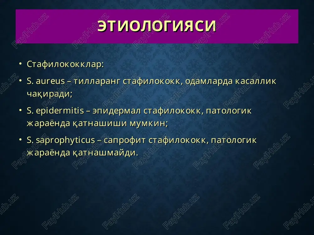 . piodermitlarning bu turida stafilokokklar follikulaning deyarli hamma qismida yallig'lanish chaqirgan xolda unga chuqur kirib boradi. kasallik boshlanishida qizil rangdagi og'ruvchi tugunchalar paydo bo'ladi. 2-3 kun o'tgach, ular o'rtasida soch bo'lgan maddaga aylanadi. bir ikki kunda madda suyuqligi chiqib kichik yaracha hosil bo'ladi. kasallik 5-7 kunda yakunlanadi va chuqur follikulit o'rnida kichik nuqtasimon chandiq qoladi, bunda soch so'rgichi emiriladi va qayta tiklanmaydi oddiy sikoz (sycosis vulgaris) oddiy sikoz surunkali qaytalanuvchi piodermit bo'lib, o'ziga xos xususiyatlarga ega: kasallikka chalingan follikulalarda beto'xtov ravishda ostiofollikulit va follikulit ko'rinishidagi qaytalangan elementlar hosil bo'ladi. kasallangan sohadagi qariyb barcha follikulalarning jarayonga tortilishi; sekinlik bilan, torpid kechishi; kasallikning klinik manzarasi asta-sekin rivojlanadi. furunkul furunkul (yoki chipqon) terining ko'p uchraydigan yiringli kasalliklaridan hisoblanadi. bu soch follikulasi, yog' bezi, uning atrofidagi biriktiruvchi to'qima va teri osti yog' kletchatkasining o'tkir, yiringli-nekrozli yallig'lanishidir. furunkul ko'pincha ostiofollikulit yoki follikulitdan infektsiyaning chuqurga qarab tarqalishi uchun qulay sharoit mavjud bo'lgan taqdirda rivojlanadi. yakka xolda …