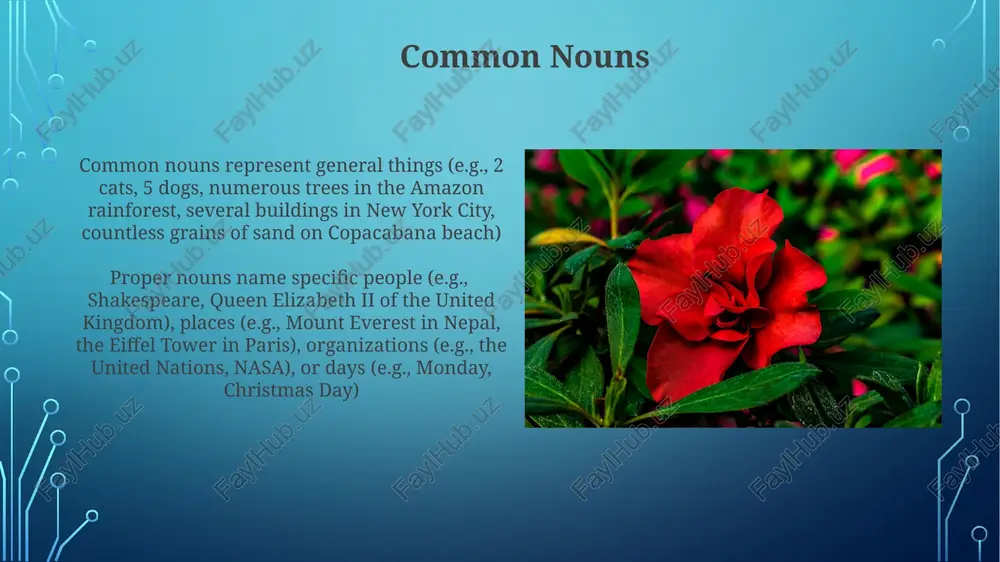 types of nouns - Page 4