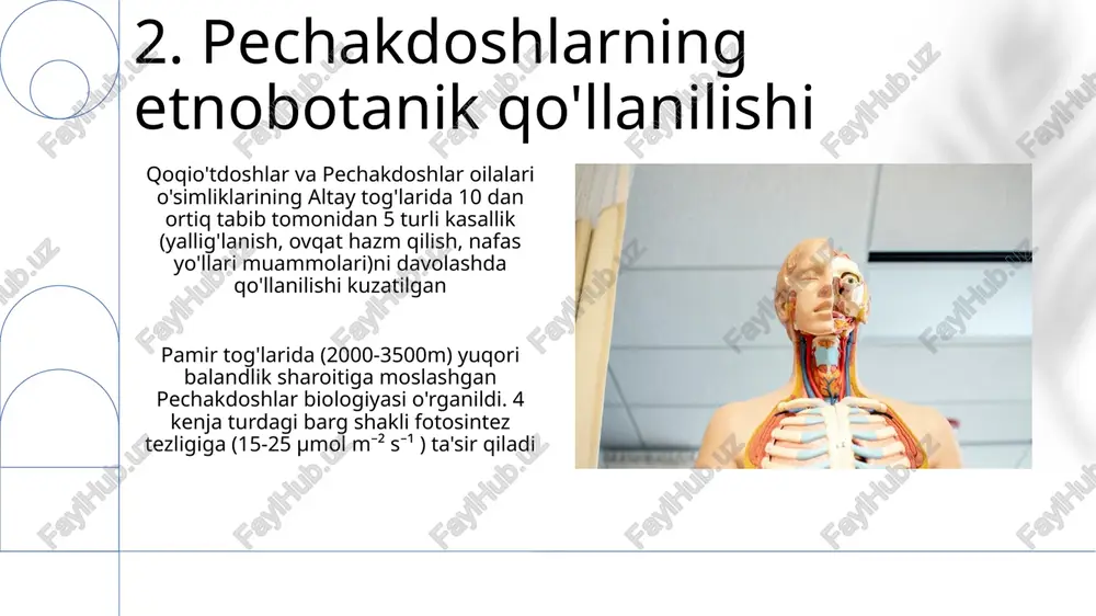 chakdoshlar oilalari (aniq taksonomik tasnifi va geografik tarqalishi, masalan, markaziy osiyo, qirg'iziston, tojikistonning aniq hududlari kerak); iucn qizil kitob baholari (populyatsiya soni, tahdidlar, masalan, 2000 ga o'rmon yo'qolishi, ortiqcha yaylov, iqlim o'zgarishi (1 15.kelajakdagi tadqiqot yo'nalishlari ikki oila uchun ham dorivor navlarni tadqiq qilish uchun biofaol birikmalarni (alkaloidlar, flavonoidlar) aniqlash uchun keng qamrovli fitokimyoviy tahlil (hplc, gc-ms) zarur qoqio'tdoshlar oilasining filogenetik aloqalarini (its, matk markerlar yordamida) 15 dan ortiq turdagi tien-shan va pomir-oloy tog' tizmalarida molekulyar tadqiqotlar orqali o'rganish, va bioaktivlik tahlillari orqali (yallig'lanishga qarshi 3 ta va undan ortiq birikma aniqlangan) potensial tibbiy qo'llanilishini tekshirish zarur. e'tiboringiz uchun rahmat @taqdimot_robot image1.png image2.jpg image3.jpg image4.jpg image5.jpg image6.jpg image7.jpg image8.jpg image9.jpg image10.jpg image11.jpg image12.jpg image13.jpg image14.jpg image15.jpg image16.jpg