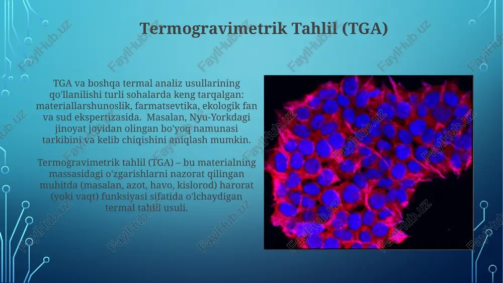 termik taxlil - Page 4