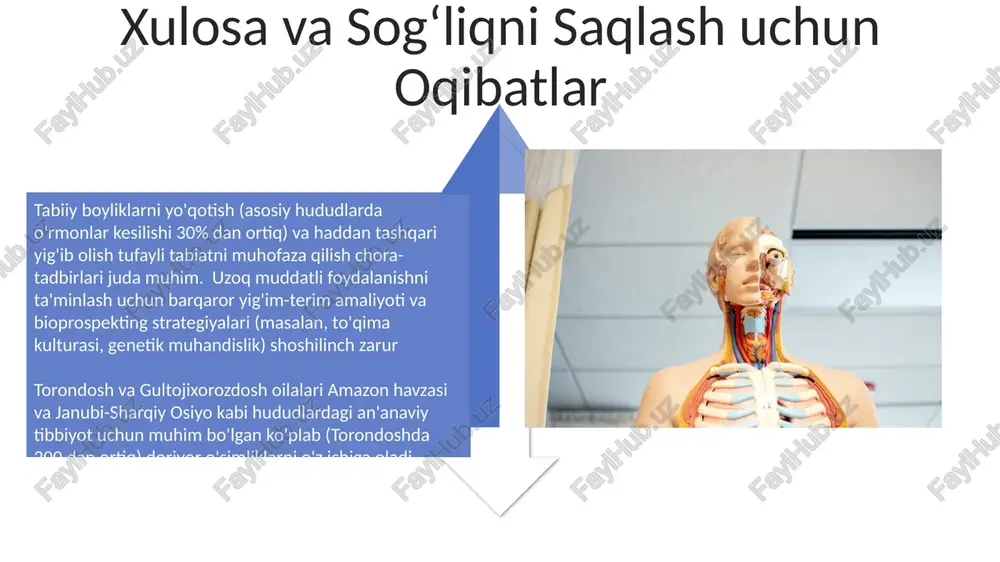 torondoshlar, gultojixo'rozdoshlar biologiyasi - Page 4