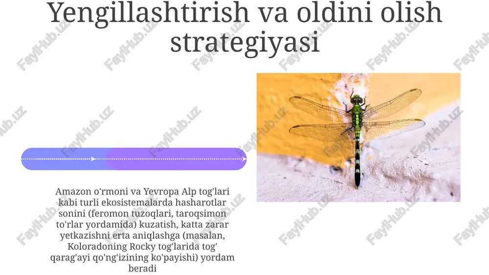 onus ponderosae) tarqalishi 8 milliondan ortiq gektar qarag'ay o'rmonini vayron qildi va bu zamburug'li patogenlardan (masalan, ophiostoma ips) va feromon tuzoqlaridan foydalanadigan o'rmon xo'jaligi strategiyasini talab qildi. 2002-yildan beri shimoliy amerikada (michigan, ohio, pensilvaniya va boshqalar) tarqalgan zararkunanda zumrad kulqo‘rg‘oni (agrilus planipennis) kul daraxtlarining ommaviy nobud bo‘lishiga sabab bo‘ldi va parazitoid arilar (masalan, tetrastichus planipennisi) va nematodalar kabi turli biologik nazorat vositalarini tadqiq qilishga turtki bo‘ldi. e'tiboringiz uchun rahmat @taqdimot_robot image4.jpg image5.jpg image6.jpg image7.jpg image8.jpg image9.jpg image10.jpg image11.jpg image12.jpg image13.jpg image14.jpg image15.jpg image16.jpg image17.jpg image18.jpg image1.jpeg image2.jpeg image3.jpeg