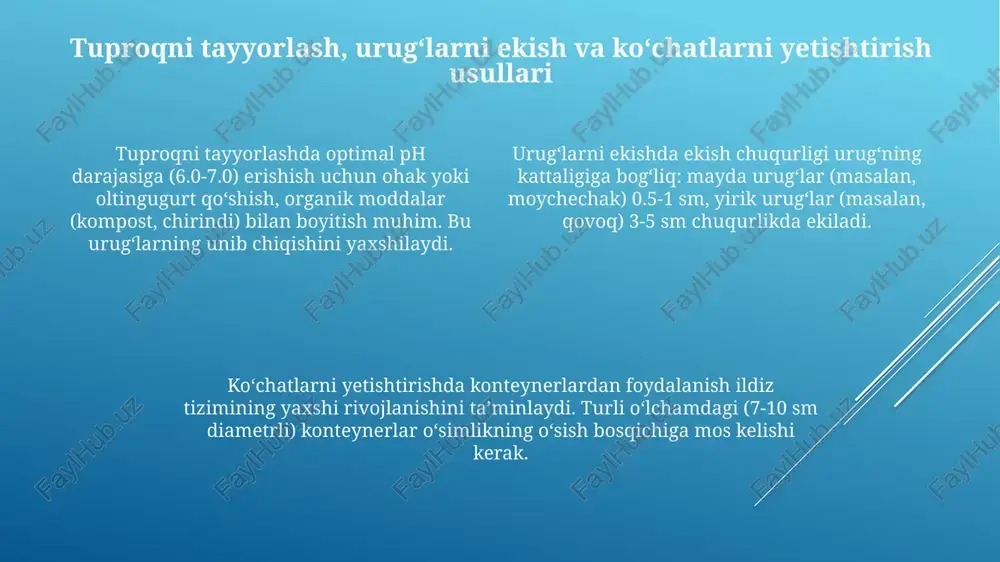 dorivoroʻsimliklarni ugʻchiligi va koʻchatchilgi - Page 4