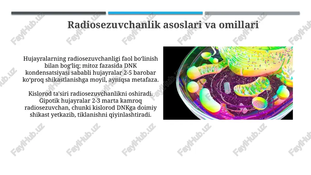 hujayraning hayot sikli va uning turlari fazalari - Page 4